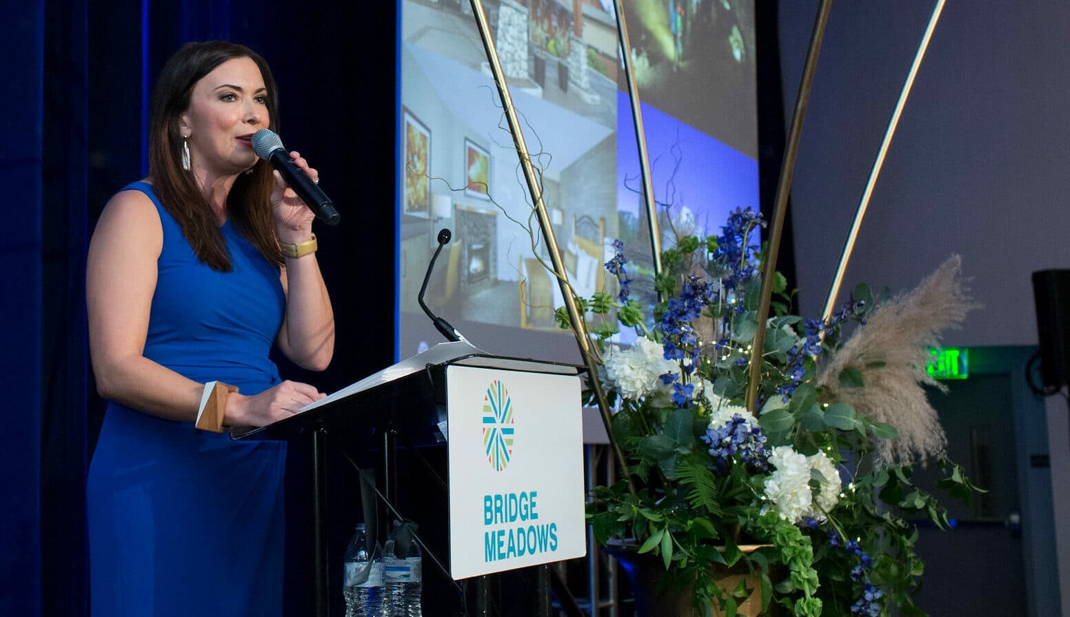 Auctioneer Johnna Wells on stage at the Bridge Meadows IMAGINE auction and gala. Credit: Paul Rich Studio